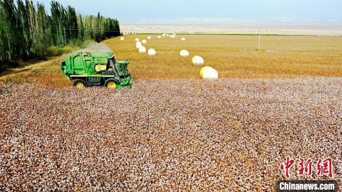 近年來，當?shù)孛藁ǚN植戶的生產生活發(fā)生了翻天覆地的變化?！《?攝