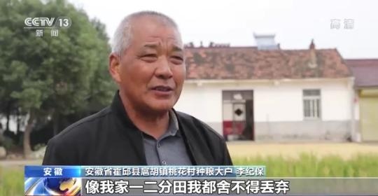 十八連豐！秋收近九成 我國(guó)糧食產(chǎn)能穩(wěn)步提升