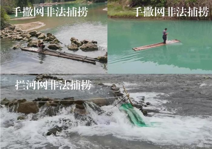 2021年9—10月，前期暗查發(fā)現(xiàn)，保護區(qū)核心區(qū)內(nèi)非法捕撈行為十分猖獗