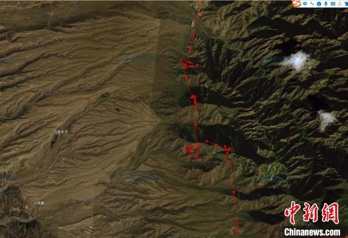 圖為雪豹故地重游來到放歸地的足跡?！?nèi)蒙古賀蘭山國家級自然保護區(qū)供圖