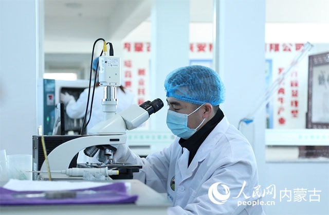 內(nèi)蒙古中農(nóng)興安種?？萍加邢薰韭鋺艨朴抑衅?，為肉牛產(chǎn)業(yè)發(fā)展提供了優(yōu)質(zhì)的種源保障。白俊華攝