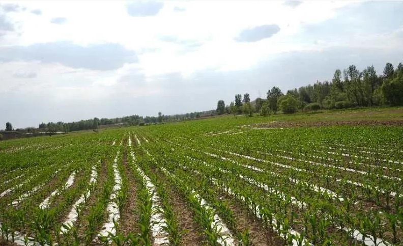 1593485243339770.png 微信圖片_20200630104635.png