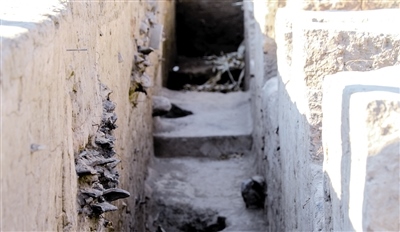 1605110771314997.jpg 008.jpg