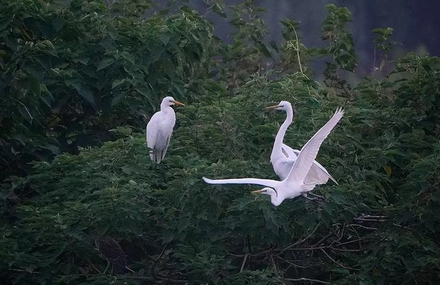 1662608248824962.jpg W020220907333445181068.jpg