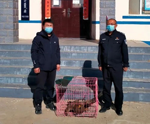 1667635794119615.jpg 微信圖片_20221105160237_副本.jpg