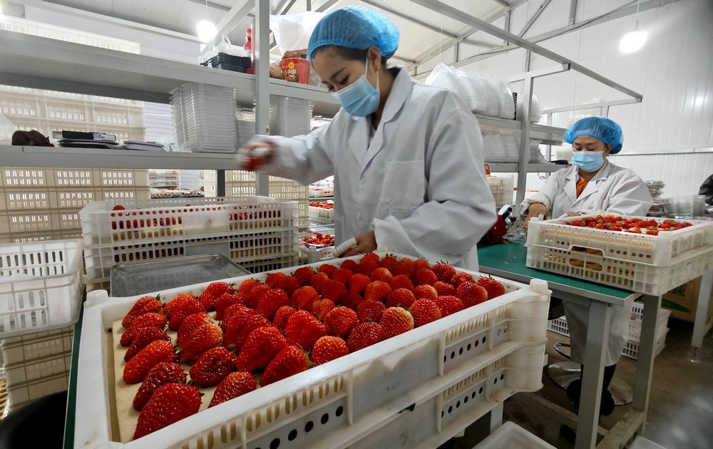 1675847417537725.jpg 微信圖片_20230208170817.jpg