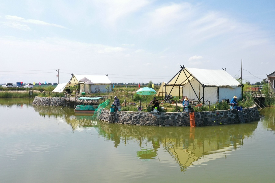 1693062442505881.jpg DJI_0849.jpg