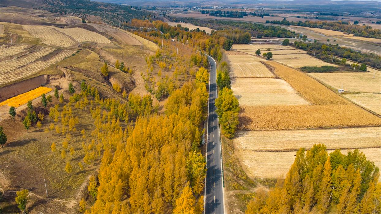 1707990549538112.png 圖片1.png