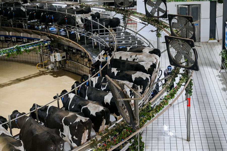 1730958090758736.jpeg WechatIMG4642.jpeg