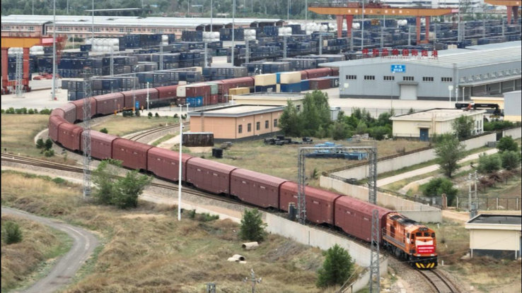 1750039152129435.jpg 沙良2.jpg