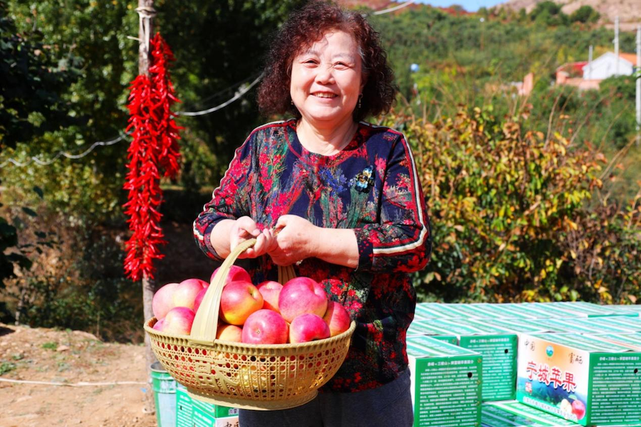 1759843250100569.png 圖片7.png