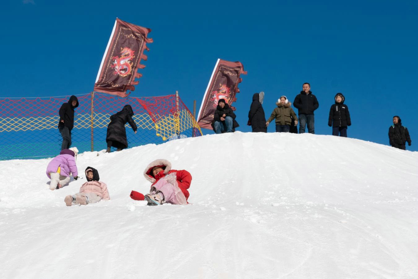 1768046520372009.jpg 1768046520372009.jpg