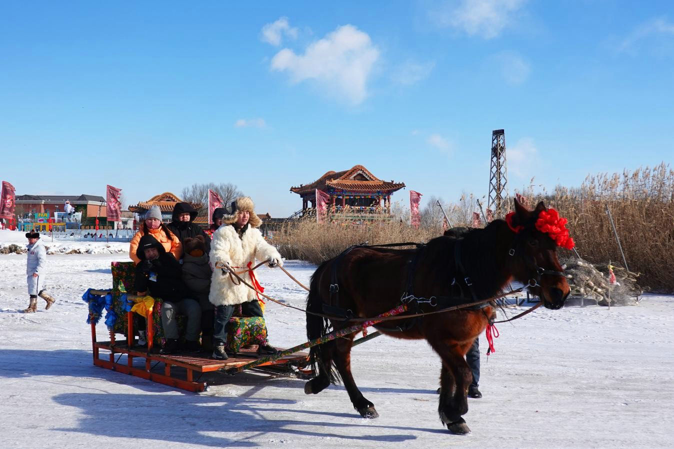 1768046579716350.jpg 1768046579716350.jpg