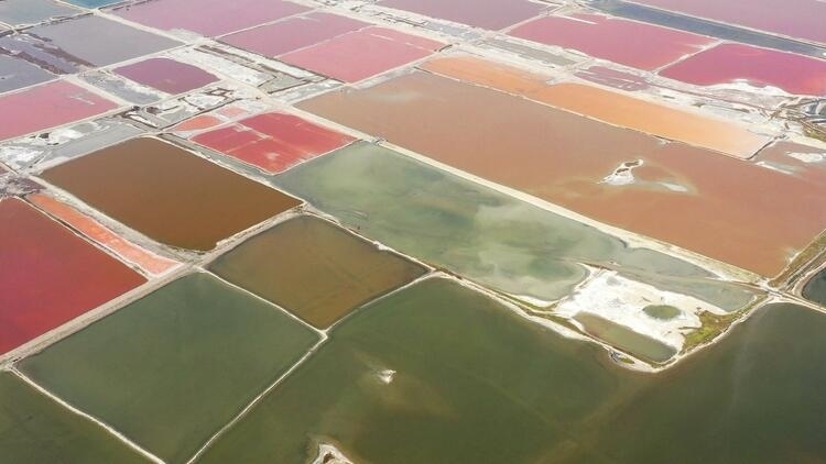 鑒往知來，跟著總書記學(xué)歷史丨走進一座博物館，尋根五千年中華文明