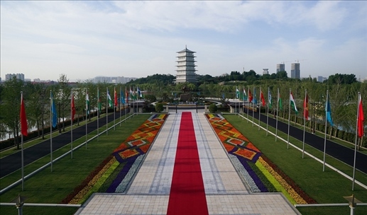 時(shí)政微觀察丨石榴花開的時(shí)節(jié)