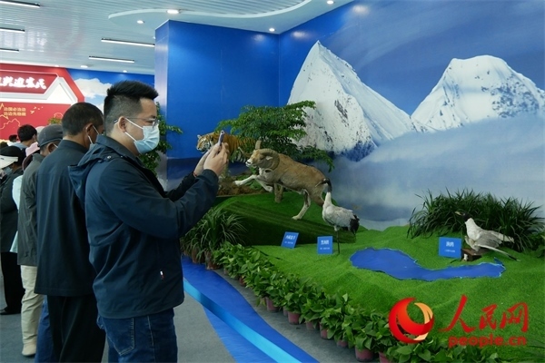 6月17日，觀眾正在觀展。人民網(wǎng) 韋衍行攝