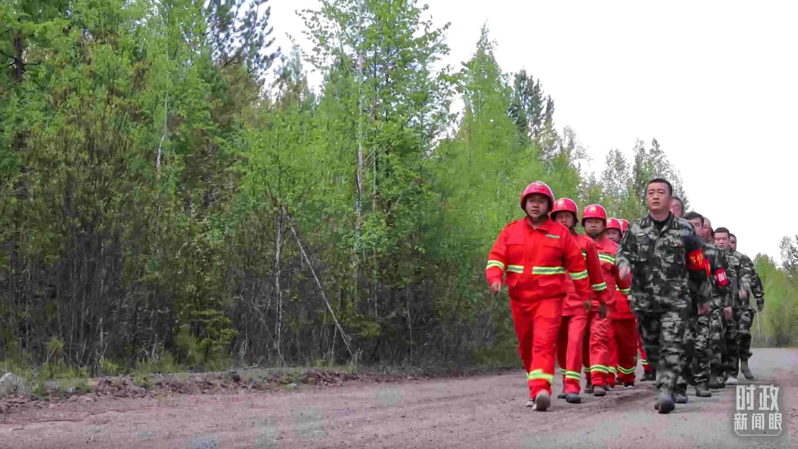 △林場里的森林巡護。