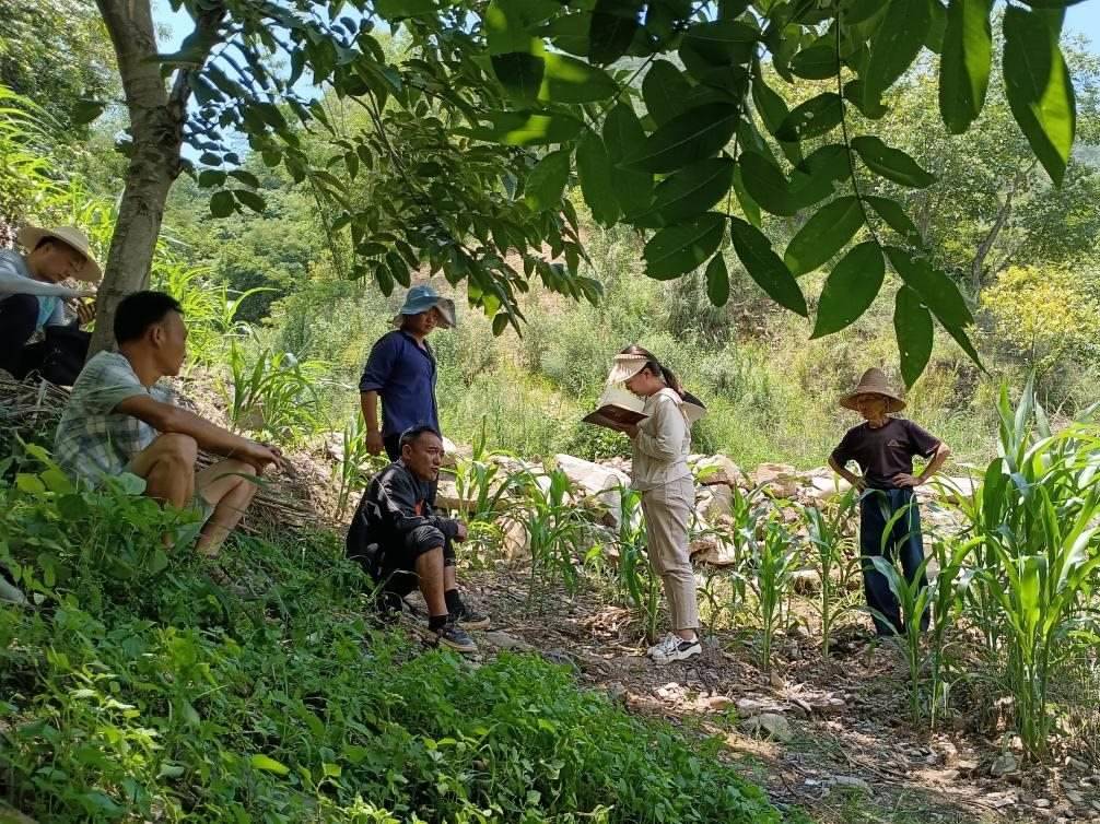 2023年7月18日，兩家村民發(fā)生土地方面的糾紛，李江女（右二）在記錄情況。受訪者供圖