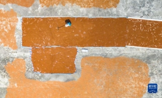 9月16日，農(nóng)民在貴州省安順市西秀區(qū)大西橋鎮(zhèn)吉昌村晾曬高粱（無人機(jī)照片）。