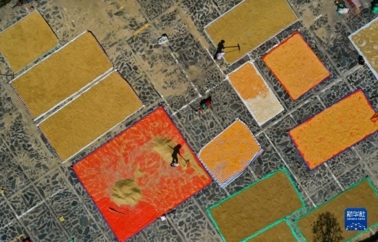 9月16日，貴州省黔東南苗族侗族自治州丹寨縣南皋鄉(xiāng)石橋村村民在晾曬農(nóng)作物（無人機(jī)照片）。