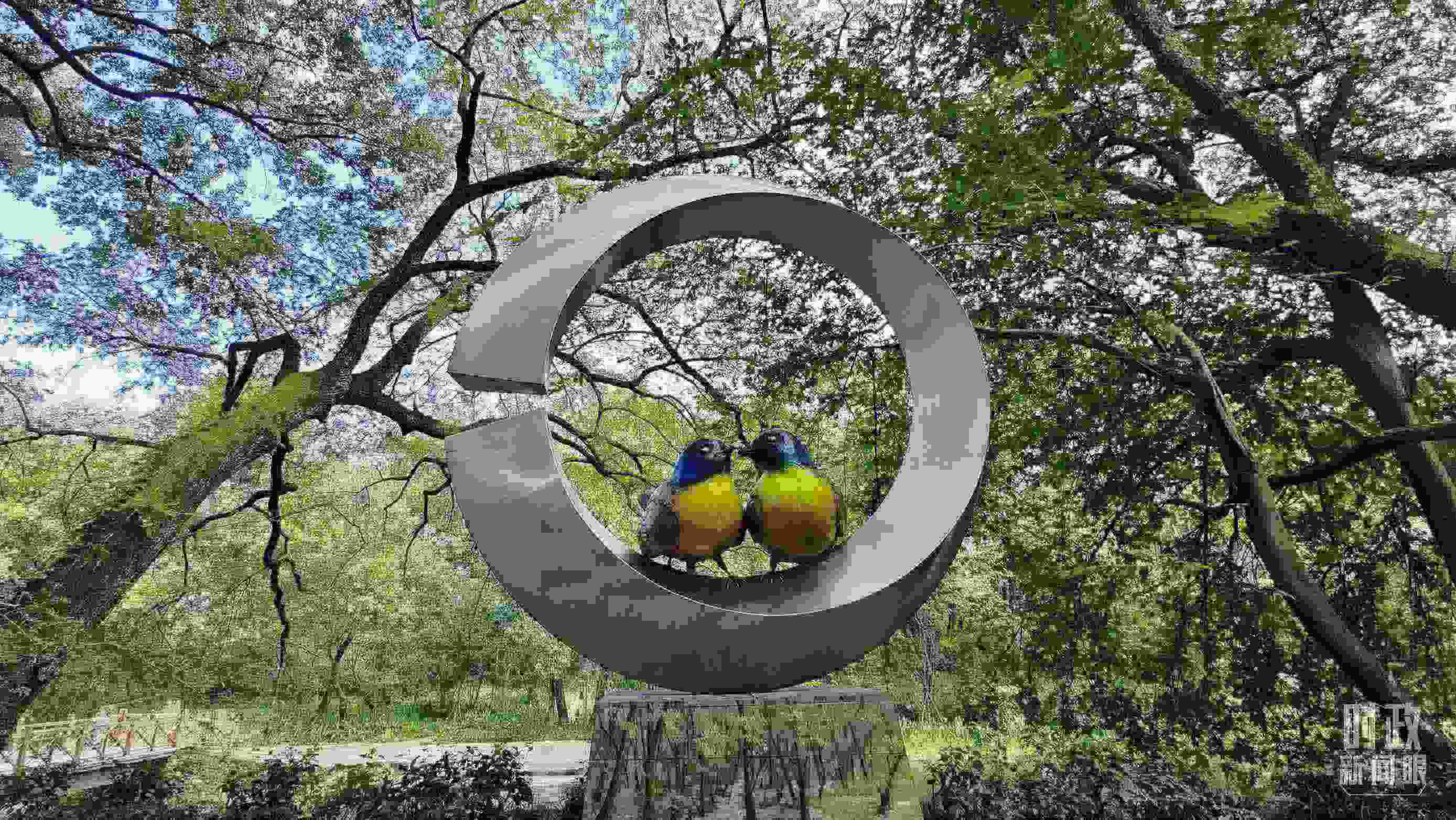 △石門村里的藍冠噪鹛雕像。（總臺央視記者許永松拍攝）