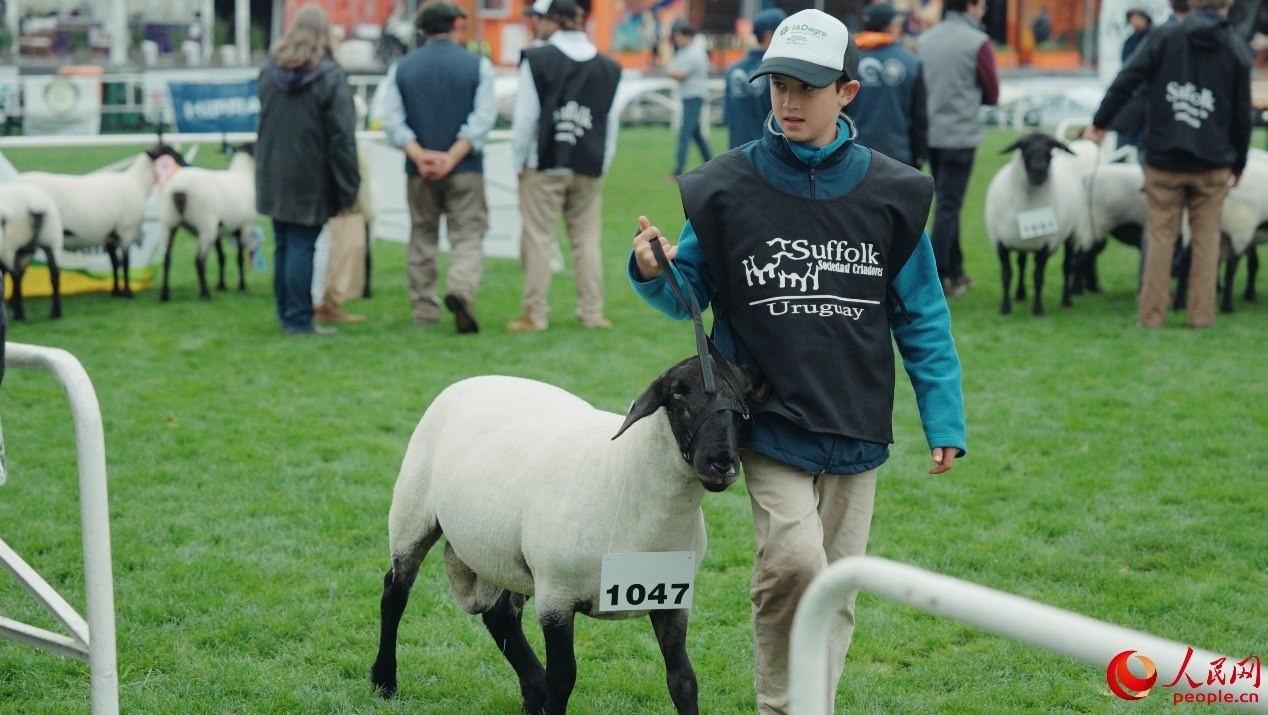 烏拉圭第118屆普拉多牧農(nóng)業(yè)國際博覽會現(xiàn)場。人民網(wǎng)記者 張若涵攝