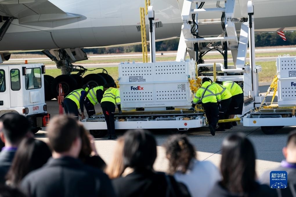 11月8日，在美國(guó)弗吉尼亞州的華盛頓杜勒斯國(guó)際機(jī)場(chǎng)，裝有大熊貓的特制“旅行包廂”準(zhǔn)備運(yùn)上專機(jī)。新華社記者劉杰攝