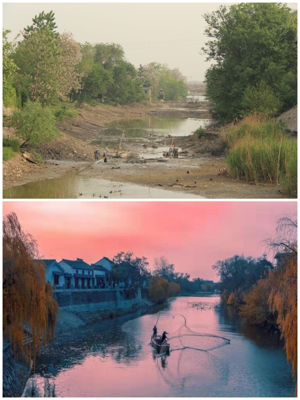 江蘇省揚州市江都區(qū)明清運河故道整治前后。（上圖：2012年；下圖：2020年）（孫友定 攝）