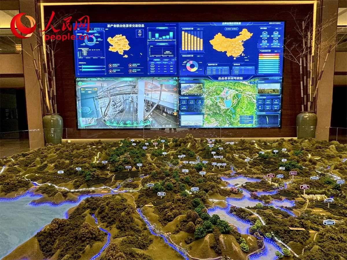 品品香白茶產(chǎn)業(yè)園信息中心數(shù)智化大屏。人民網(wǎng)記者 劉微攝