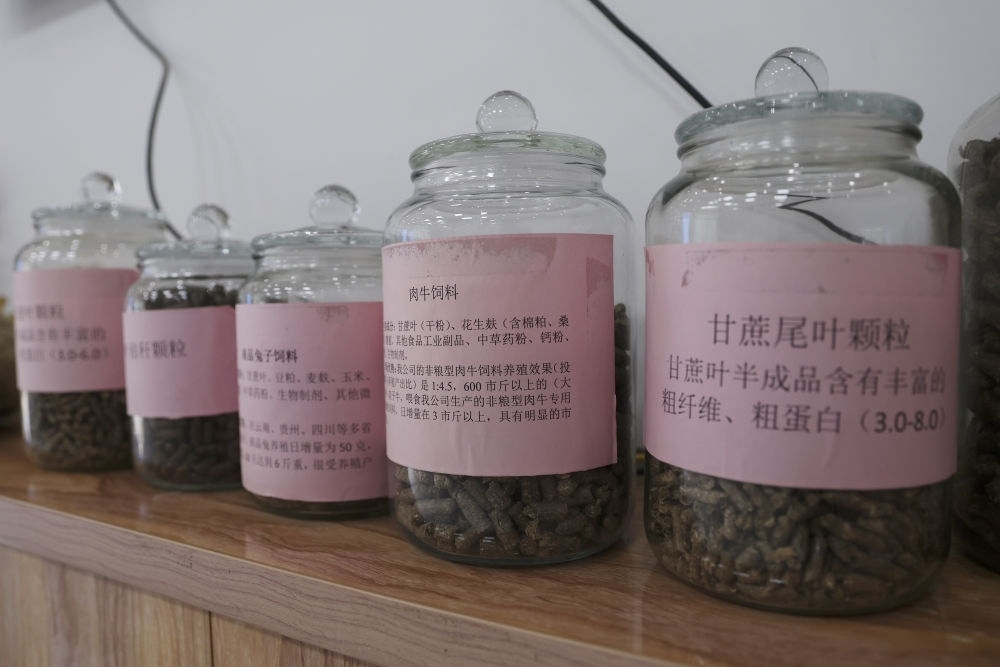 這是12月13日在來賓市興賓區(qū)小平陽鎮(zhèn)一家飼料廠拍攝的以甘蔗尾葉為原料制成的飼料。
