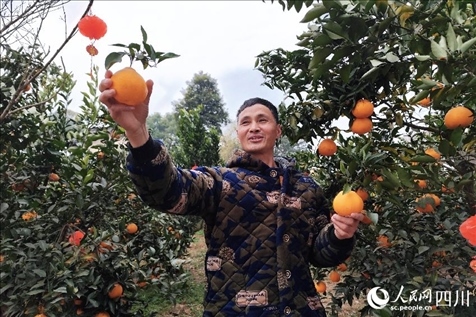 鐵牛村村民趙光進(jìn)。人民網(wǎng)記者 朱虹攝