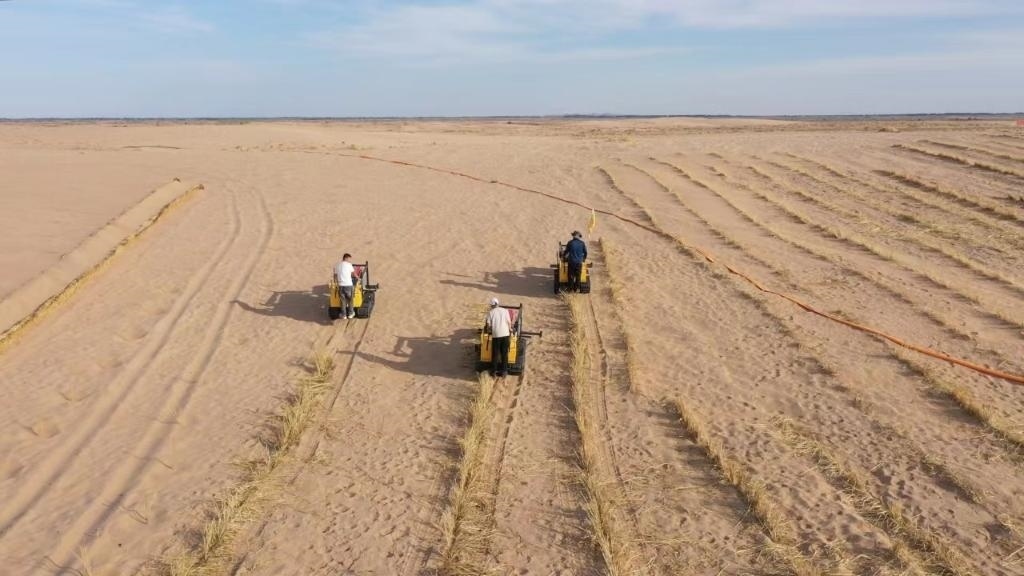 內(nèi)蒙古巴彥淖爾市烏拉特后旗西補(bǔ)隆林業(yè)管護(hù)中心職工駕駛機(jī)械鋪設(shè)壓沙障。新華社記者 李云平 攝