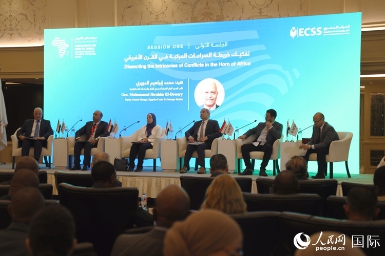 “非洲之角沖突及其對地區(qū)和埃及安全的影響”的研討會現(xiàn)場。沈小曉攝
