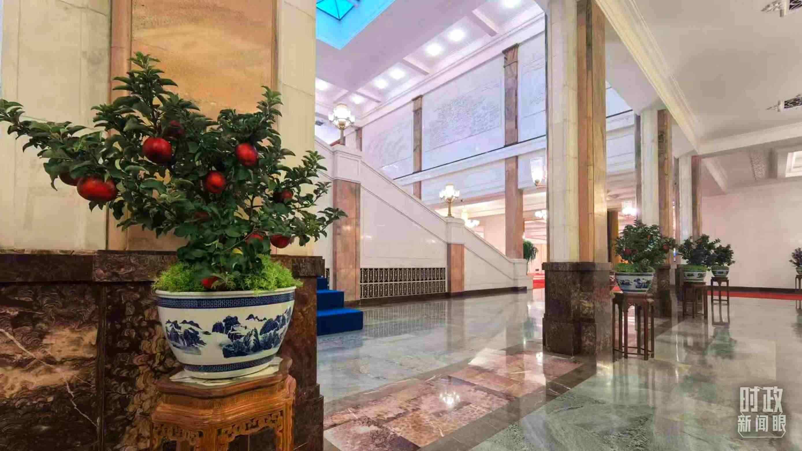  △大會(huì)堂內(nèi)的“碩果累累”盆栽。（總臺(tái)國廣記者吳倩拍攝）