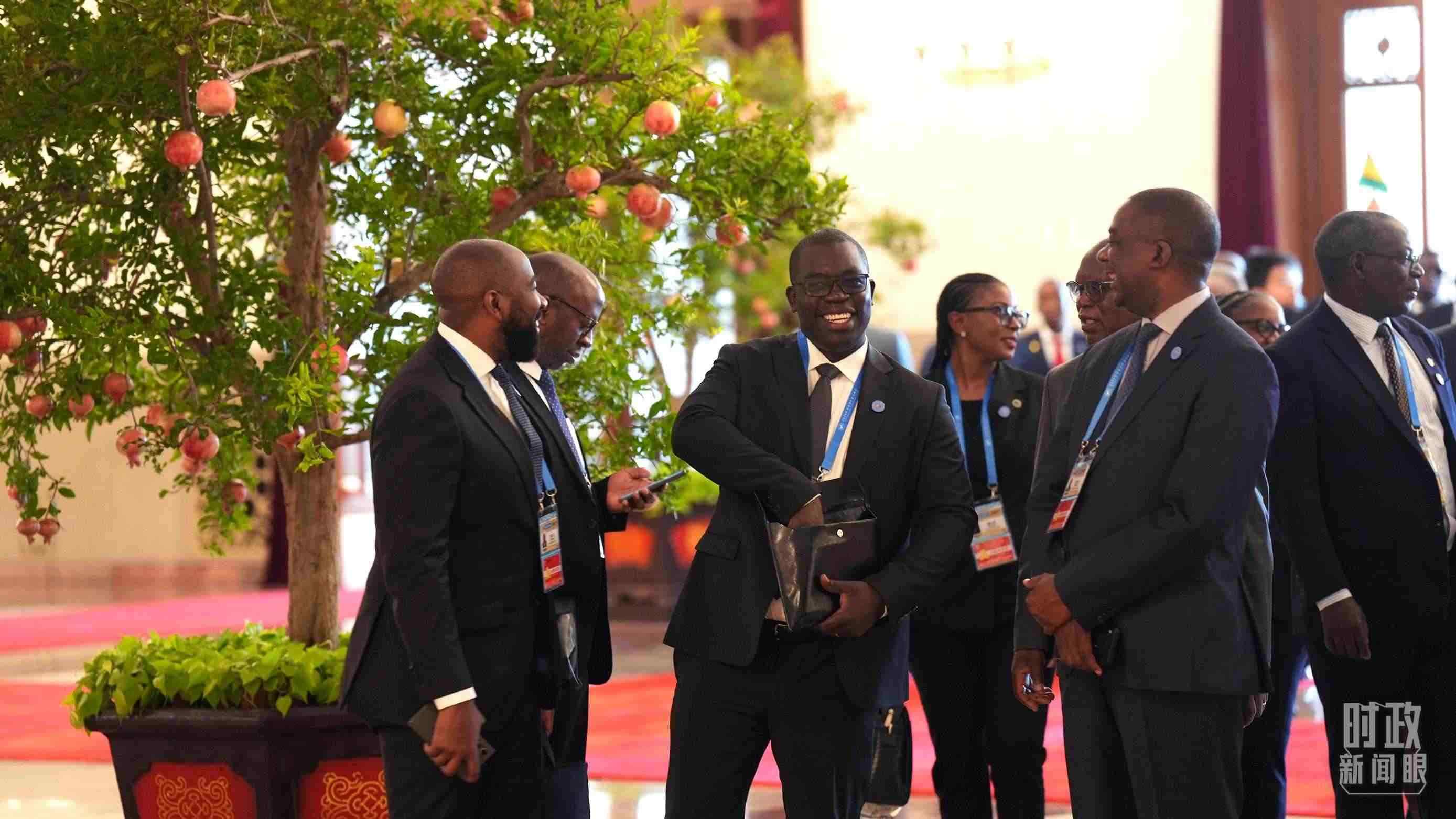 出席中非合作論壇北京峰會(huì)的非洲國(guó)家代表。（總臺(tái)記者李晉拍攝）