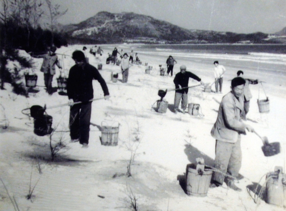 上世紀(jì)東山百姓在沙灘造林（資料照片）。