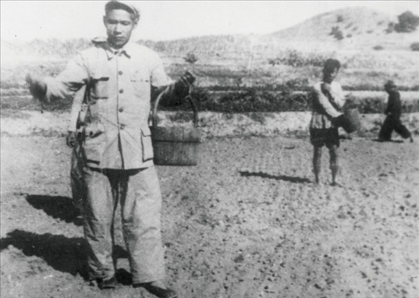 △ 谷文昌在福建省東山縣坑北村參加播種。