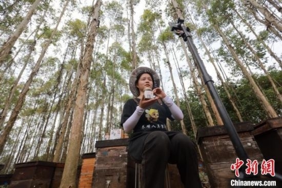 吳素英在網(wǎng)絡(luò)平臺(tái)直播介紹蜜蜂和養(yǎng)蜂情況。湯曉逵 攝