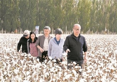李召虎團(tuán)隊(duì)成員在棉田了解試驗(yàn)情況。 受訪單位供圖
