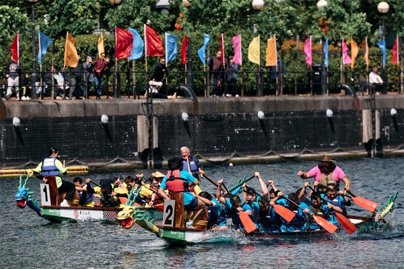 中英雙方的參賽隊(duì)伍參與龍舟競(jìng)渡。楊浩鵬攝